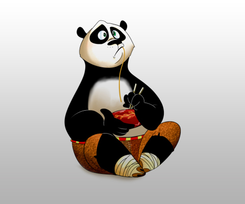 Das Kung Fu Panda Wallpaper 480x400