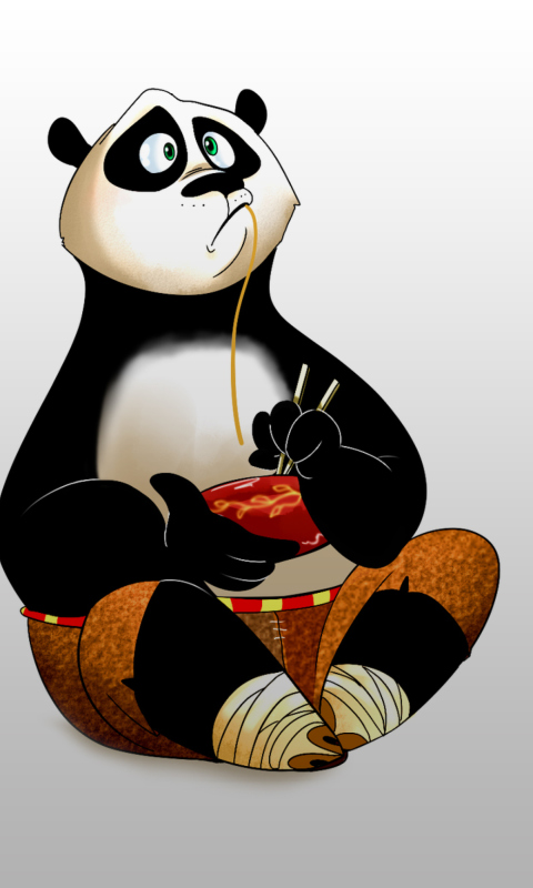Fondo de pantalla Kung Fu Panda 480x800