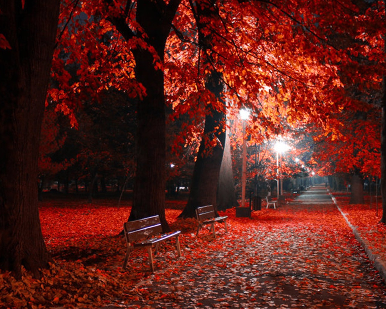 Romantic Fall Park wallpaper 1280x1024