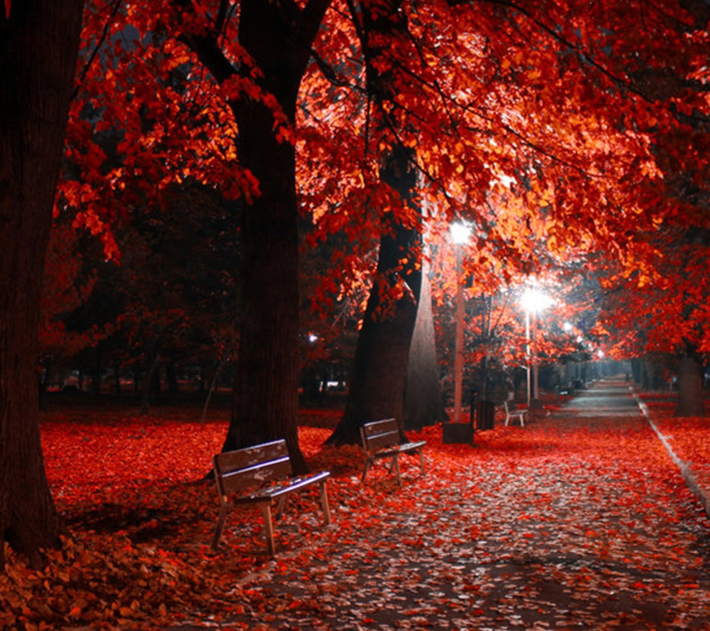 Обои Romantic Fall Park 1440x1280