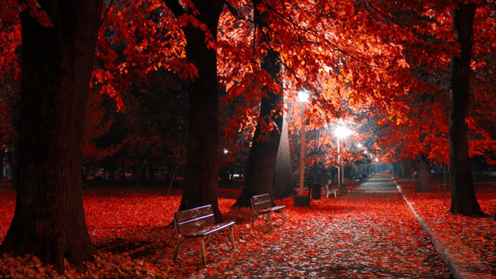 Romantic Fall Park screenshot #1 1600x900