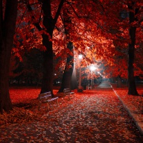 Das Romantic Fall Park Wallpaper 208x208