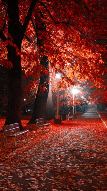 Romantic Fall Park screenshot #1 360x640