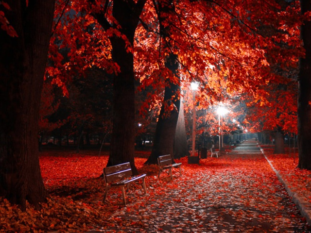 Обои Romantic Fall Park 640x480