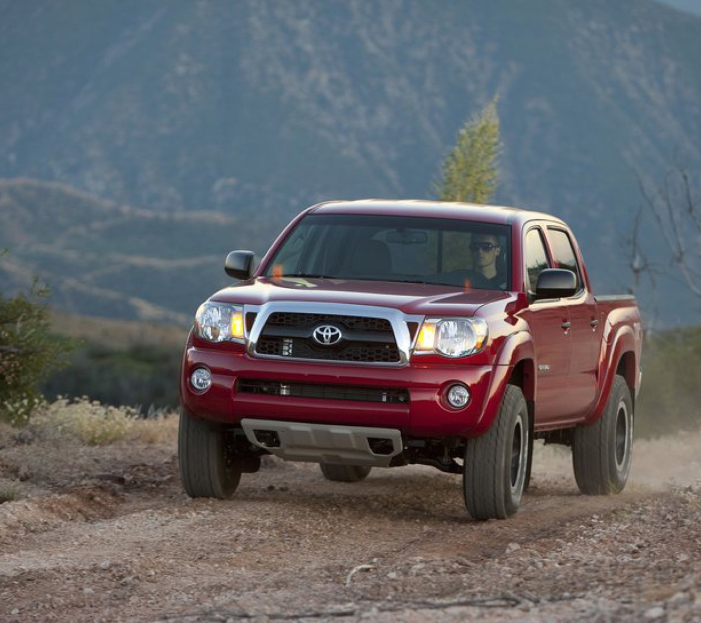 Das Toyota Tacoma Wallpaper Wallpaper 1440x1280