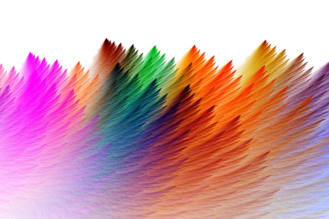 Feathers wallpaper 480x320