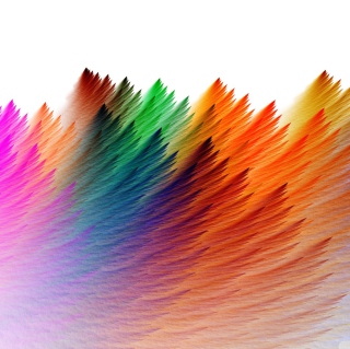 Kostenloses Feathers Wallpaper für iPad