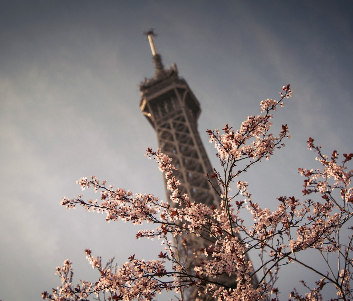 Spring In Paris screenshot #1 1200x1024