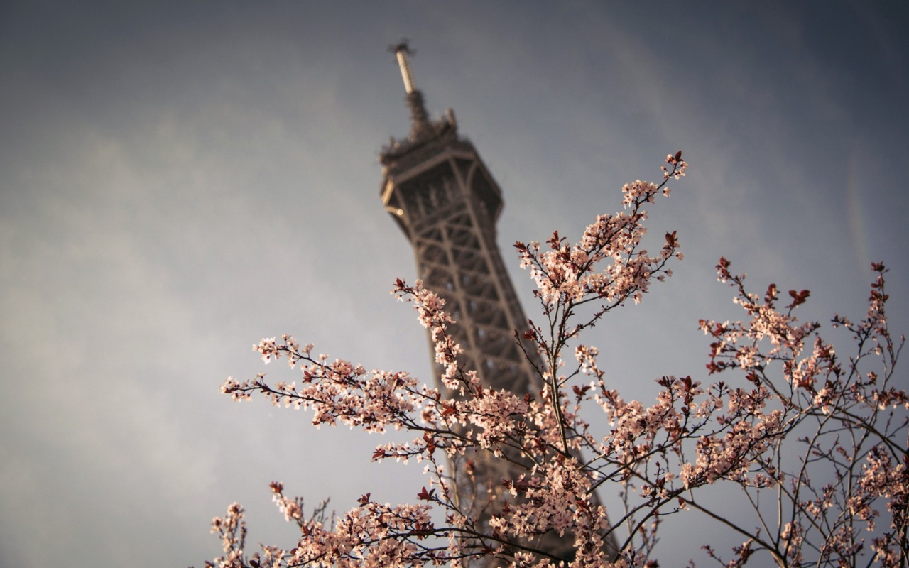 Fondo de pantalla Spring In Paris 1280x800