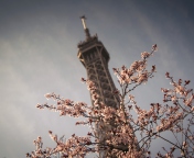 Spring In Paris wallpaper 176x144