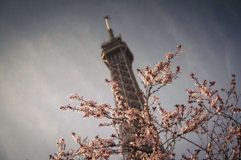 Fondo de pantalla Spring In Paris 480x320