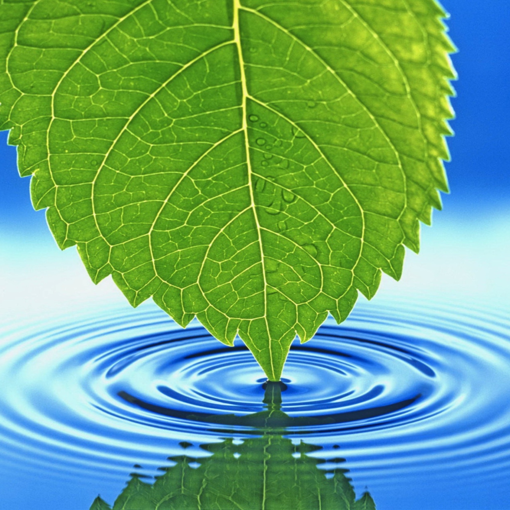 3D Leaf wallpaper 1024x1024