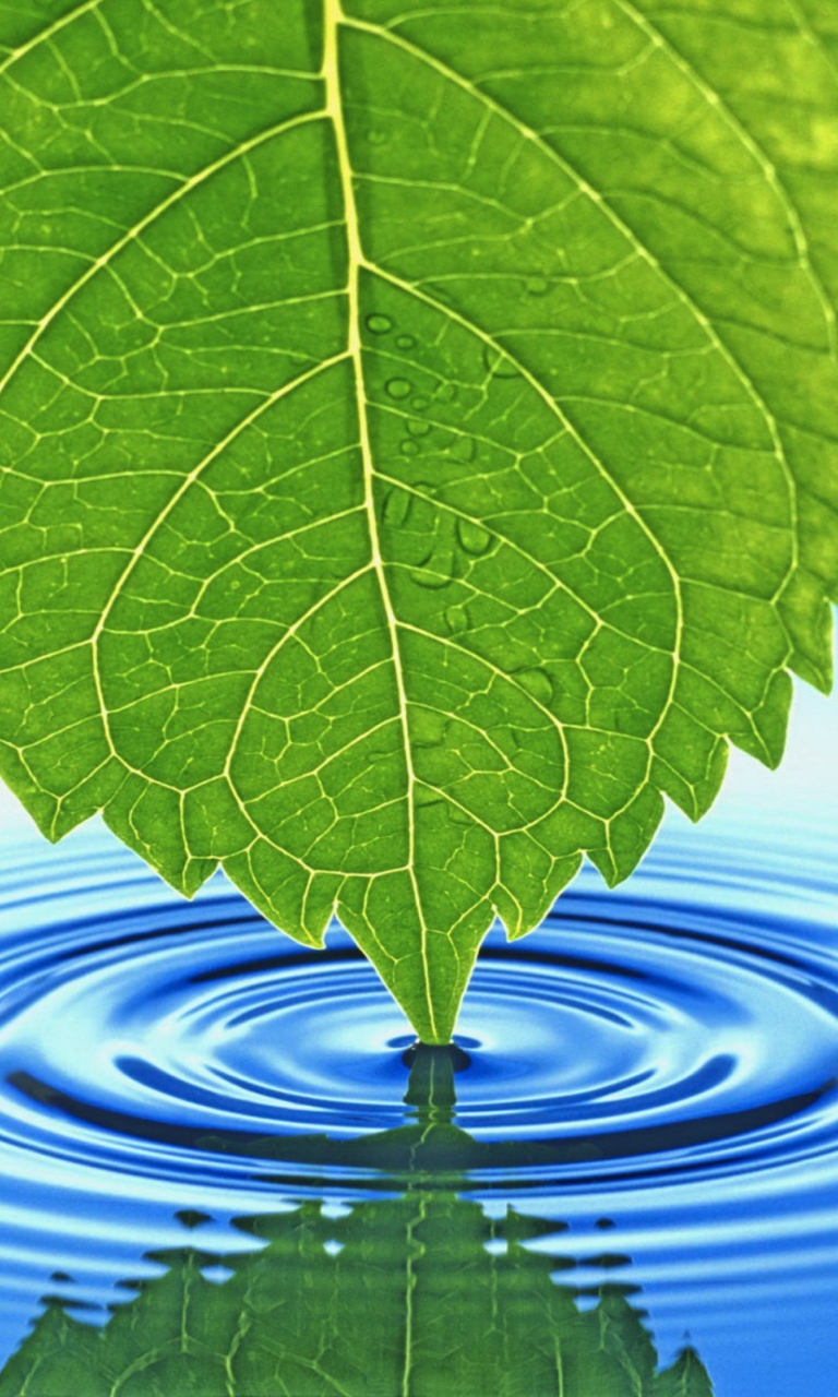 3D Leaf wallpaper 768x1280