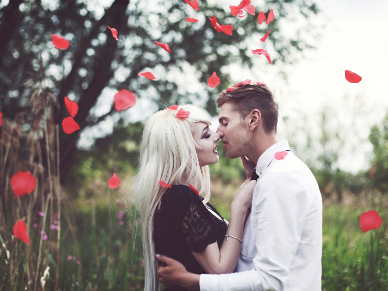 Fondo de pantalla Kiss And Red Rose Petals 1280x960