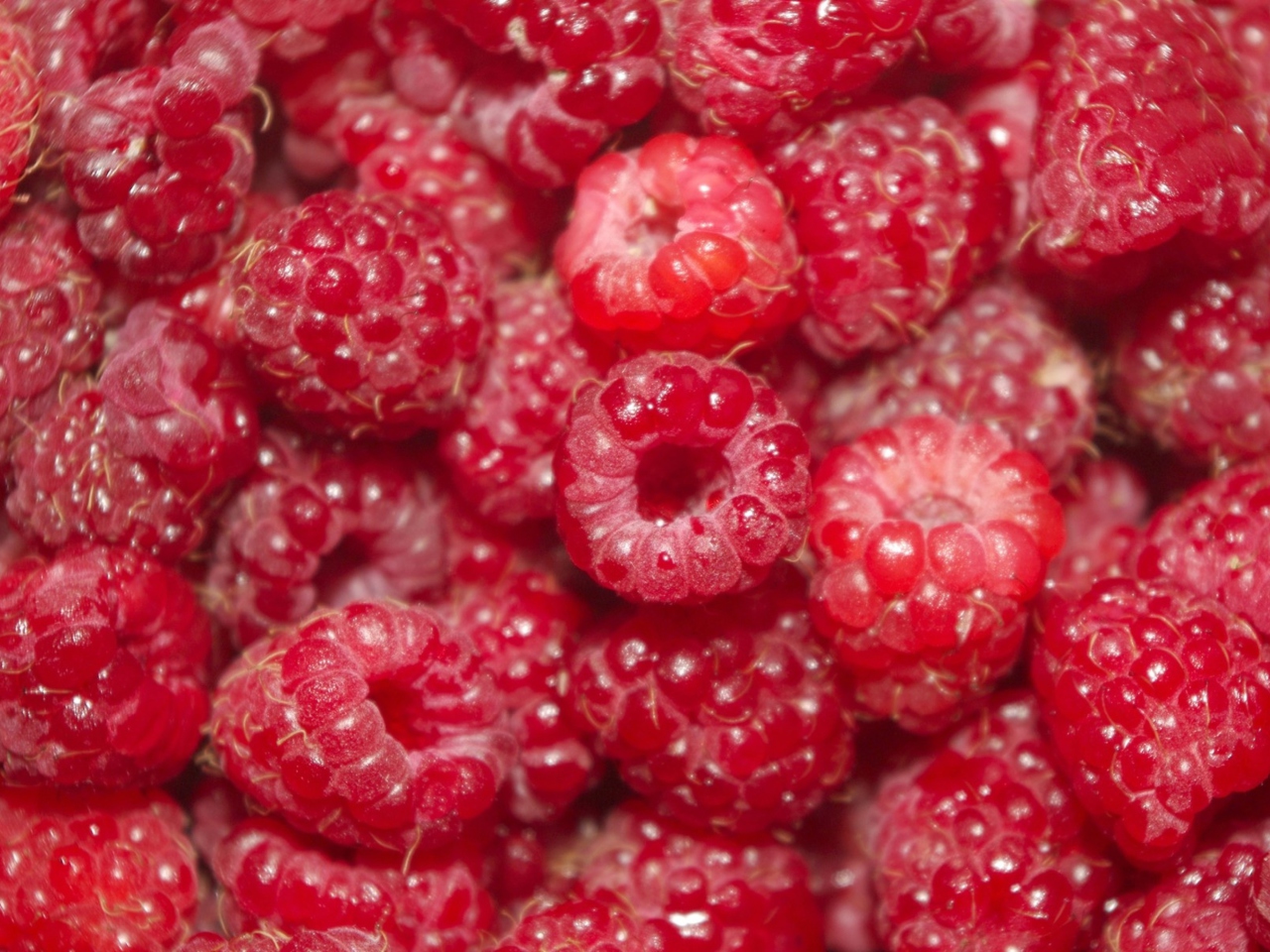 Обои Summery Juicy Raspberry 1280x960