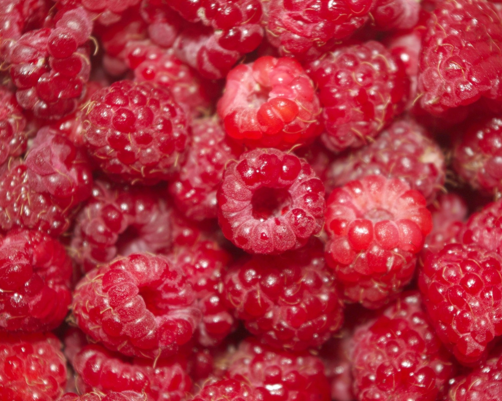 Sfondi Summery Juicy Raspberry 1600x1280