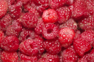 Summery Juicy Raspberry Background for Android, iPhone and iPad