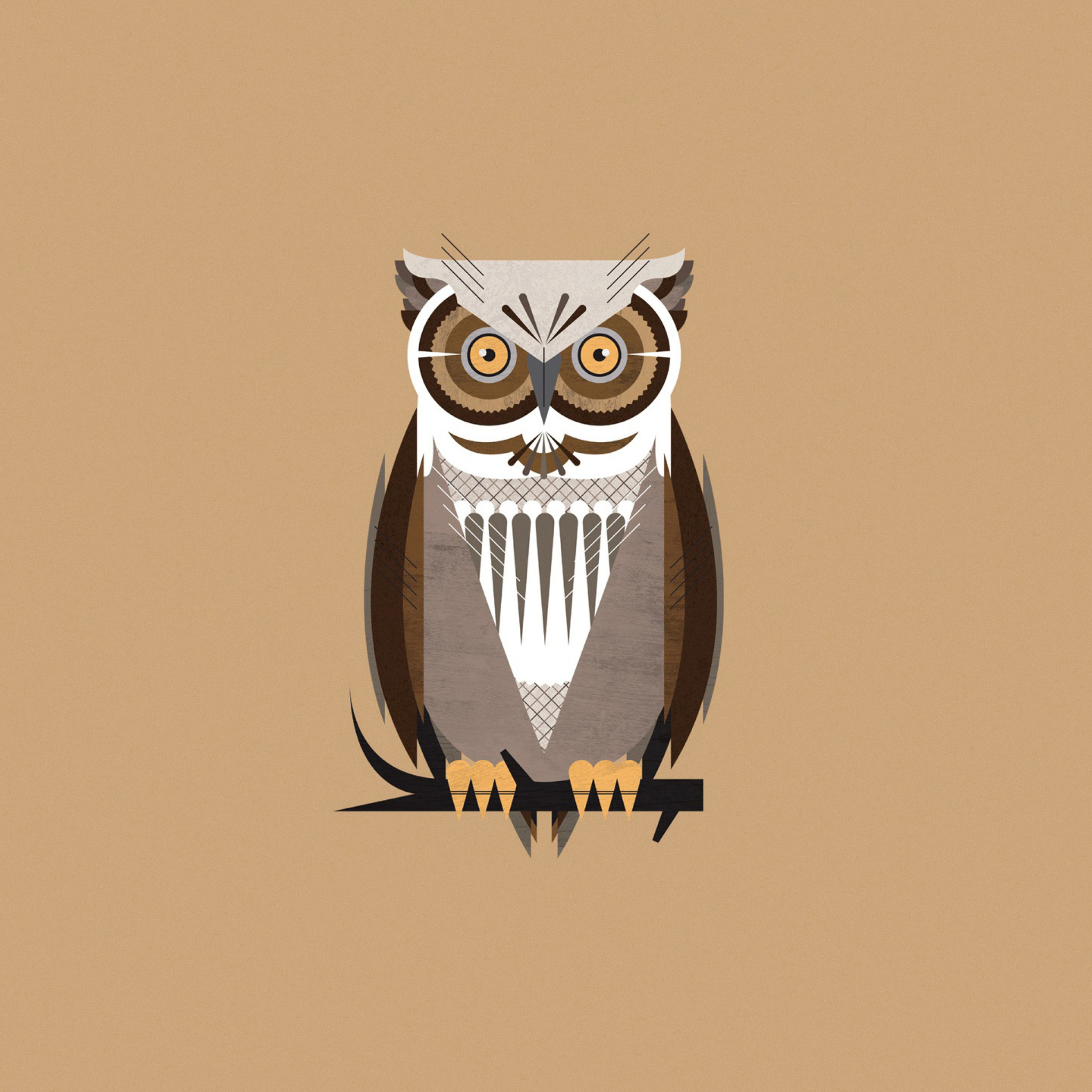 Owl Illustration wallpaper 2048x2048