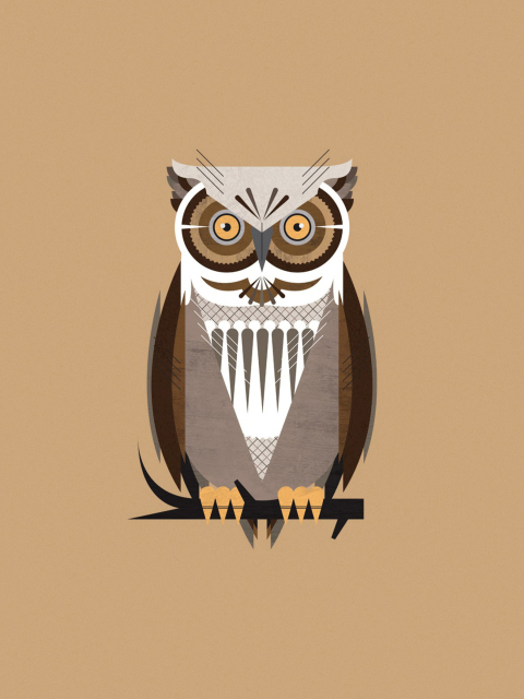 Owl Illustration wallpaper 480x640