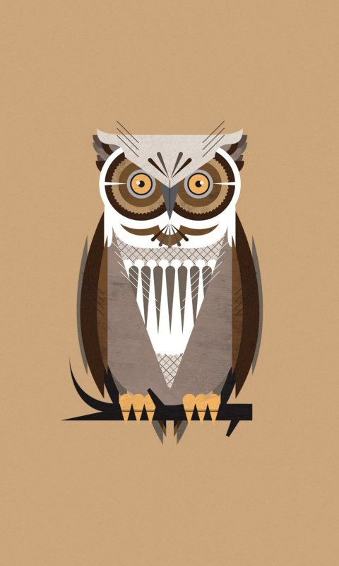 Das Owl Illustration Wallpaper 480x800