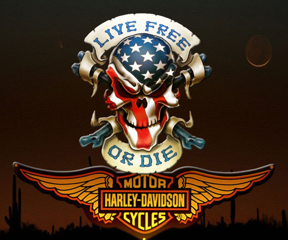 Fondo de pantalla Harley Davidson 960x800