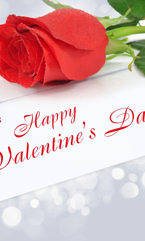 Das Valentines Day Greetings Card Wallpaper 480x800