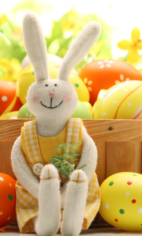 Fondo de pantalla Cute Easter Bunny 480x800