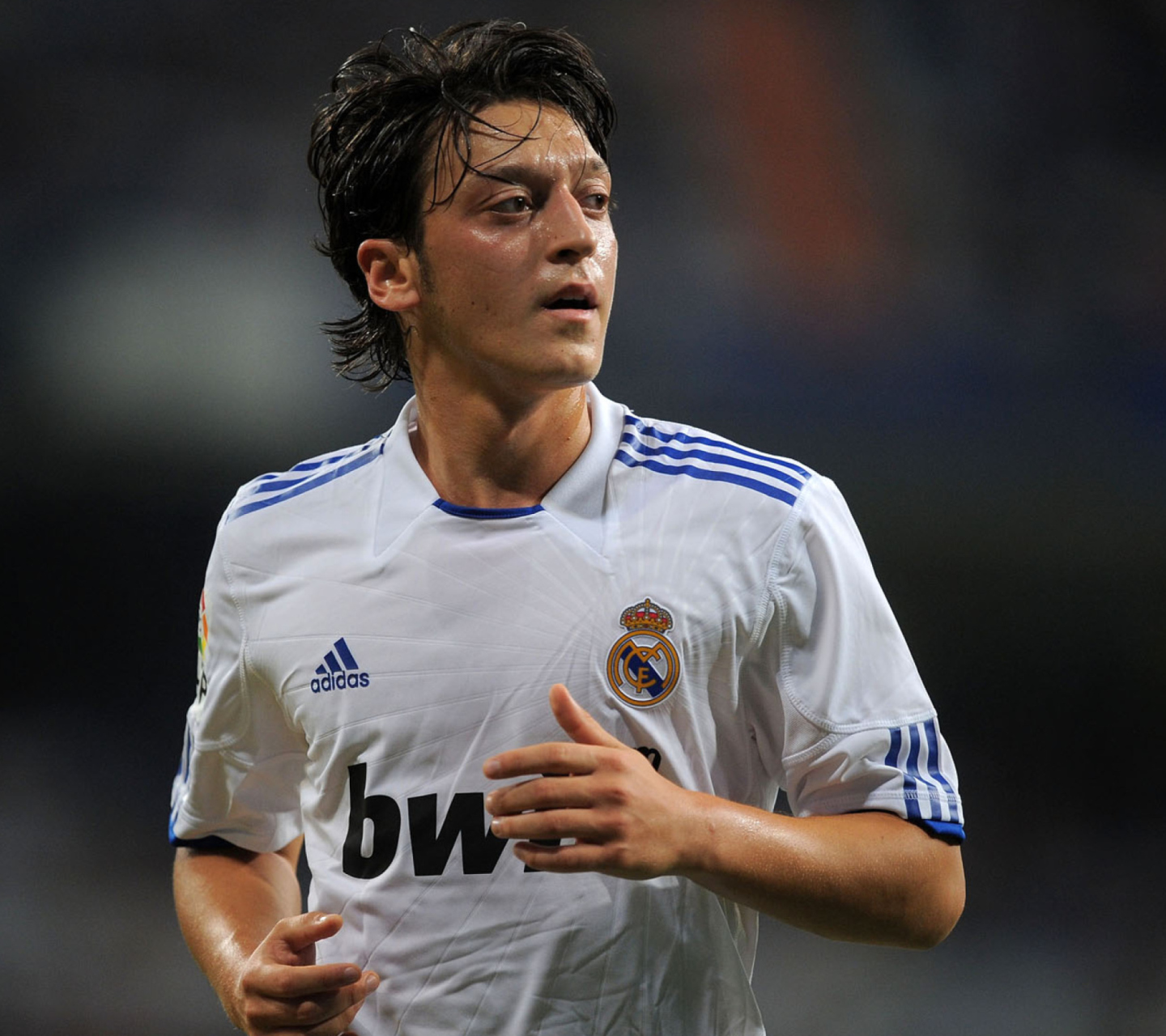 Screenshot №1 pro téma Mesut Ozil 1440x1280