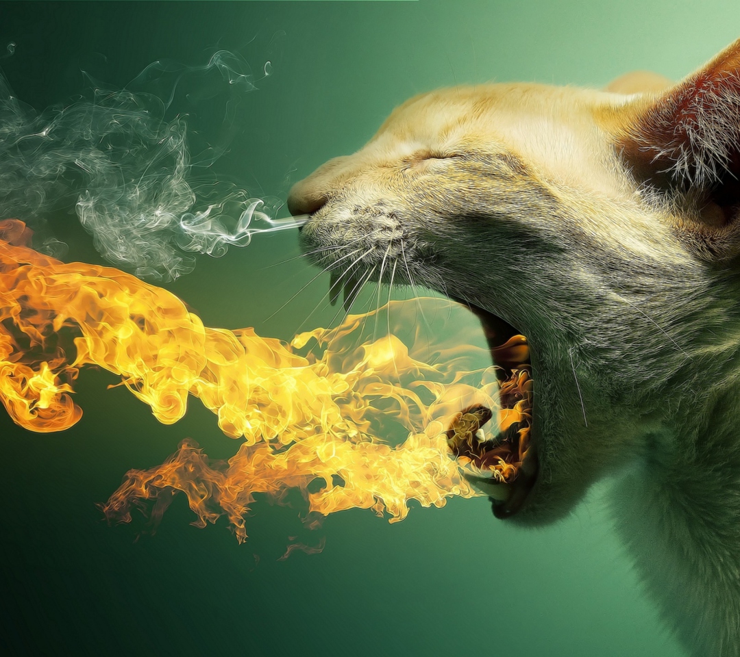 Flaming Cat wallpaper 1080x960