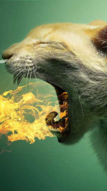 Flaming Cat screenshot #1 360x640