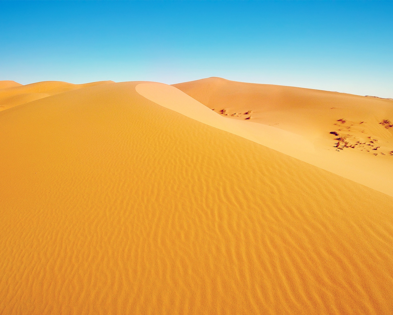 Screenshot №1 pro téma African Desert 1280x1024