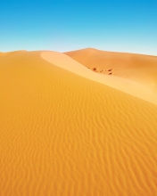 Sfondi African Desert 176x220
