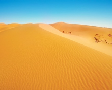 Sfondi African Desert 220x176