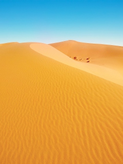 Fondo de pantalla African Desert 240x320