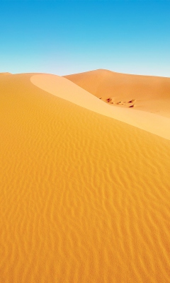Fondo de pantalla African Desert 240x400