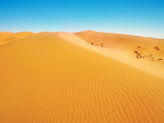 Screenshot №1 pro téma African Desert 320x240