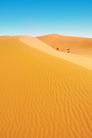 Fondo de pantalla African Desert 320x480