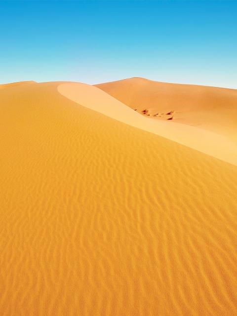 Fondo de pantalla African Desert 480x640