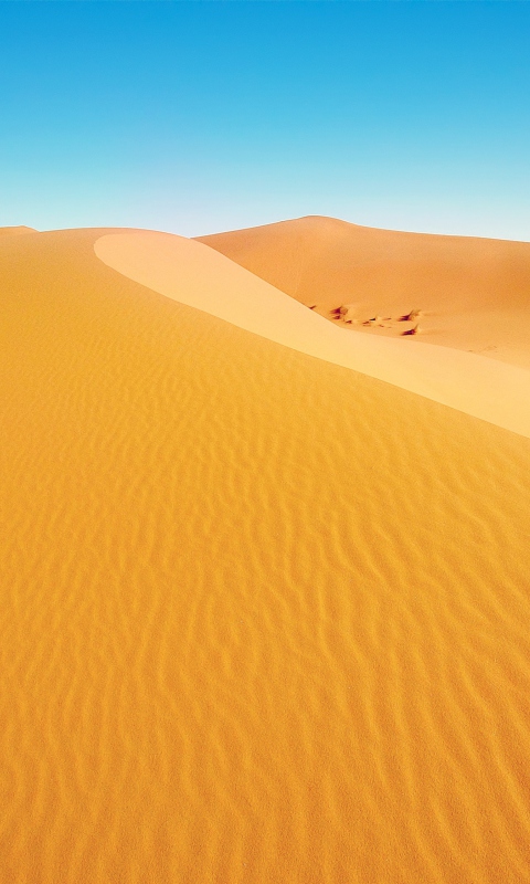 Обои African Desert 480x800