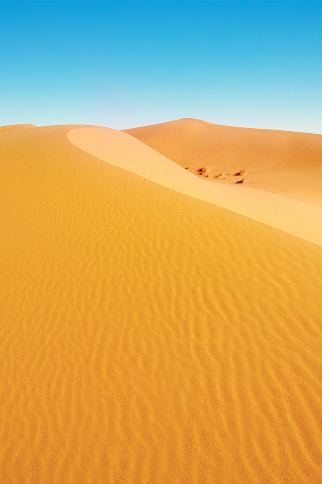 Das African Desert Wallpaper 640x960