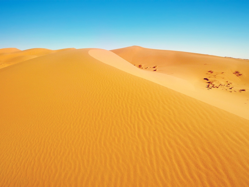 Screenshot №1 pro téma African Desert 800x600