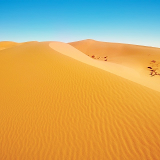 Kostenloses African Desert Wallpaper für iPad mini 2