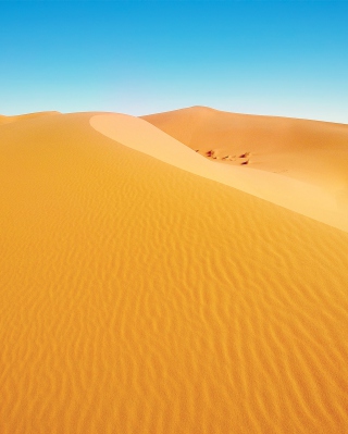 African Desert sfondi gratuiti per iPhone 6 Plus