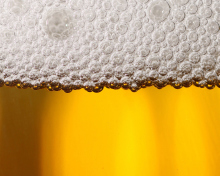 Sfondi Beer Bubbles 220x176
