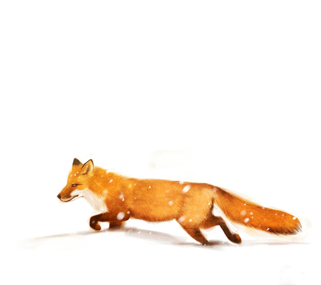Das Red Fox White Snow Wallpaper 1080x960