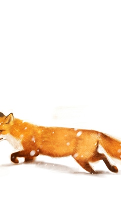 Das Red Fox White Snow Wallpaper 240x400