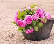 Обои Pink Garden Roses In Basket 176x144