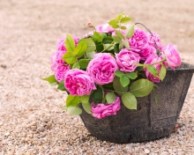 Обои Pink Garden Roses In Basket 220x176