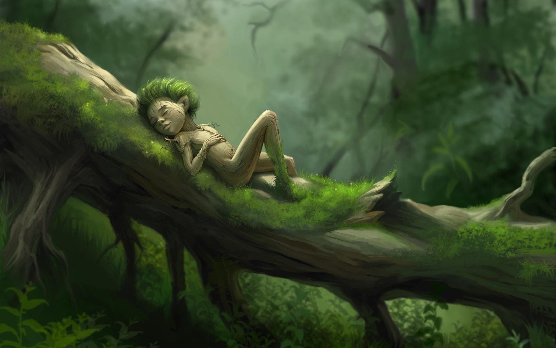 Forest Sleep wallpaper 1920x1200