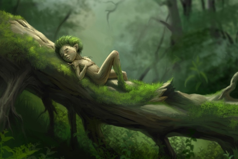 Das Forest Sleep Wallpaper 480x320
